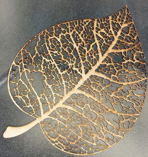 Leaf Skeleton, 얼굴 그리기, Laser Cut Patterns, Plant Vector, Laser Art, Soyut Sanat Tabloları, 3d Laser, Vector Cut, Leaf Art