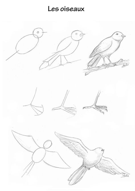 How To Draw Birds Easy, Flying Bird Drawing, Draw Birds, Cute Dragon Drawing, Hand Art Kids, Cats Art Drawing, Bird Sketch, Album Art Design, Rock Painting Patterns