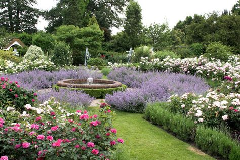 Hill Garden, Garden Gate Design, Rose Garden Design, Garden On A Hill, Formal Garden, Garden Shrubs, Formal Gardens, Garden Pathway, Garden Gate