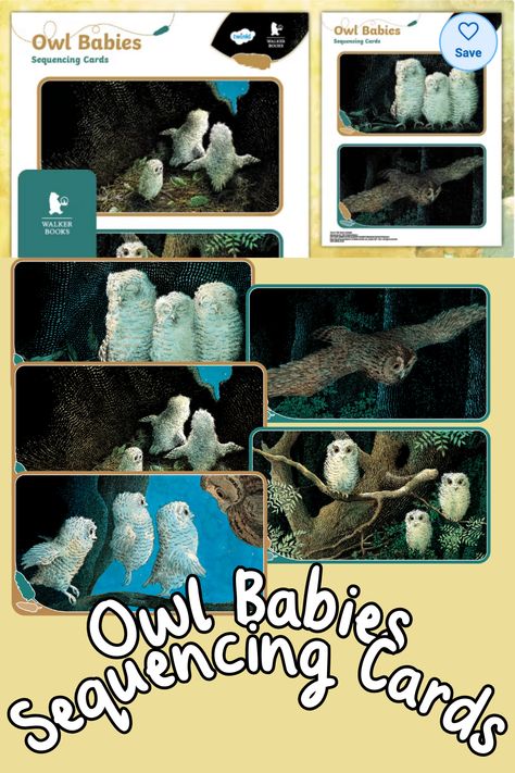 Book Owl, Owl Babies, Sequencing Cards, Story Retell, Story Sequencing, Five In A Row, Sequencing Activities, Classic Kids, Baby Owls