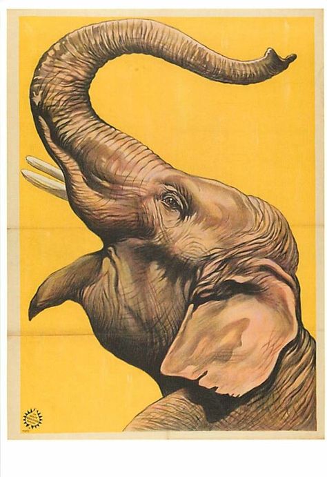 Scientist Tattoo, Nostalgia Design, Cirque Vintage, Old Circus, Vintage Circus Posters, Party Illustration, Elephant Photography, Elephant Wallpaper, Regnul Animal