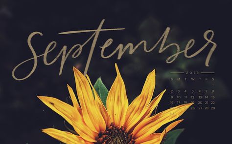 Free, Downloadable Tech Backgrounds for September 2018! September Fb Cover Photos, September Wallpaper Backgrounds, September Background Wallpaper, Good Desktop Backgrounds, September Background, Monthly Aesthetic, Macbook Background, September Images, Free Fall Wallpaper