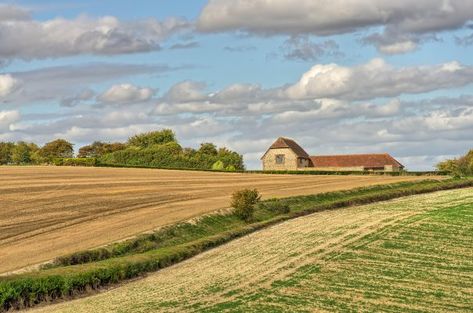 If you're thinking of buying a barn and converting it into a house, or you have unused rural buildings on your land, read our top tips for convering rural properties Country Life Magazine, Rich Living, Best Barns, Converted Barn, Stone Barns, Farm Buildings, Thatched Roof, Barn Conversion, Dark Interiors