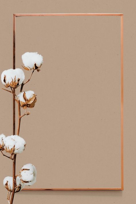 Dried Cotton Flower, Rose Gold Background, Rose Gold Backgrounds, Space Phone Wallpaper, Flower Graphic Design, Paper Background Design, Abstract Wallpaper Backgrounds, Metallic Design, Photo Frame Design