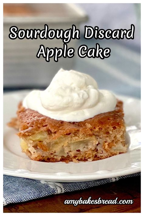 Sourdough Discard Apple, Sourdough Dessert, Amish Bread Recipes, Sourdough Apple, Quick Apple Dessert, Moist Apple Cake, Easy Sourdough Bread Recipe, Cake Receipe, Blueberry Crumb Cake