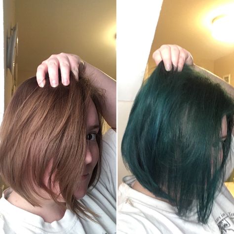 Arctic Fox Hair Dye Green, Arctic Fox Aquamarine On Brown Hair, Arctic Fox Aquamarine, Arctic Fox Hair Dye, Blue Green Hair, Reddish Brown Hair, Blue Green Color, Arctic Fox, Reddish Brown