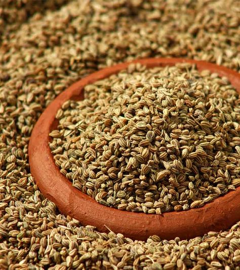 45 Significant Benefits Of Carom Seeds (Ajwain) For Skin, Hair And Health Home Remedies For Indigestion, Indigestion Remedies, Carom Seeds, Asthma Remedies, Seeds Benefits, Gas Relief, Natural Antibiotics, Skin Hair, Natural Home Remedies