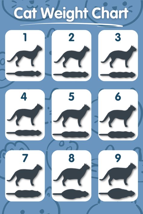 Discover how the cat weight chart can help you monitor your feline friend's health and well-being effectively. - #"Catweightdatavisualization" #"Catweightrecord" #"Catweighttrackinggraph" #"Chartforcatweightmonitoring" #"Chartfortrackingcatweight" #"Felineweightdiagram" #"Felineweightmonitoringchart" #"Kittenweightchart" #"Kittyweightchart" #"Monitoringyourcat'sweight" #"Petweightmanagementchart" #"Petweighttrackingsheet" #"Weightchartforfelines" Cat Petting Chart, Cat Weight Chart, Cat Petting, Weight Chart, Weight Charts, Healthy Cat, Health Tracker, Chart Template, Old Cats