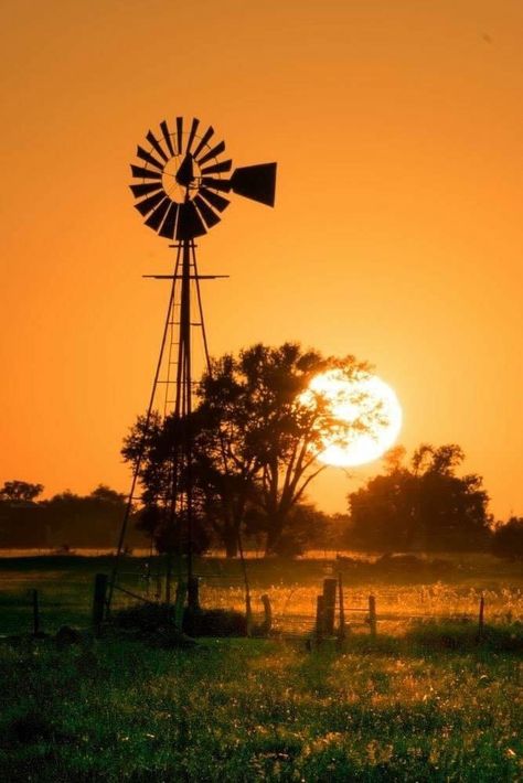 Farm Windmill, Windmill Water, Advantages Of Solar Energy, Old Windmills, Country Scenes, Water Wheel, Old Barns, Old Farm, Green Energy