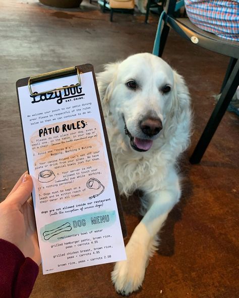 Dog Friendly Bar Ideas, Dog Restaurant Ideas, Dog Friendly Restaurant Design, Pet Friendly Cafe Interior, Dog Friendly Coffee Shop Ideas, Dog Friendly Cafe Ideas, Pet Friendly Cafe Ideas, Dog Menu Ideas, Dog Friendly Coffee Shop