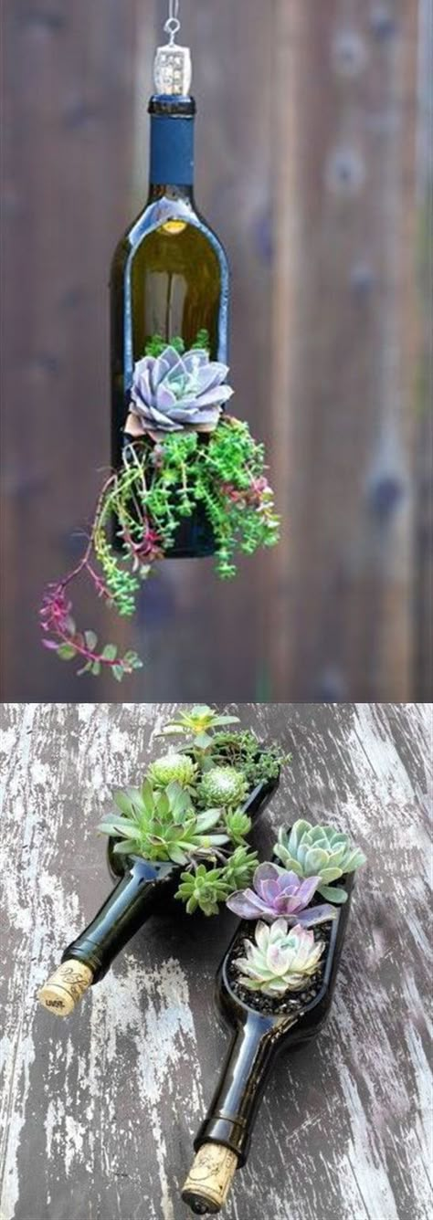 Beautiful Bottle Gardens That Will Make You Beam - Bored Art Bottle Planters, Wine Bottle Planter, Wood Succulent Planter, Bottle Projects, نباتات منزلية, Succulent Centerpieces, Wine Craft, Diy Videos Tutorials, Succulent Planters