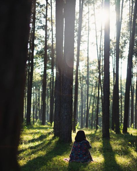 Pine Forest Photography, Mountain Poses Photo Ideas, Mountain Photo Ideas, Hiking Photos, Easy Photography Ideas, Mountain Pose, Shillong, Travel Pictures Poses, Forest Photos