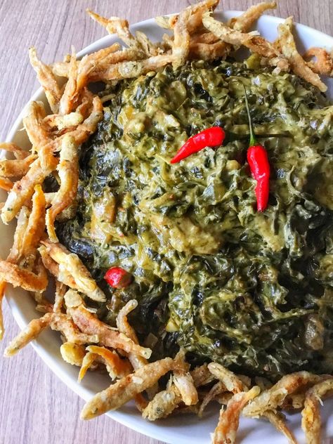 Lola’s Authentic Laing (Taro Leaves in Coconut Milk) Laing Recipe, Callaloo Recipe, Taro Leaves, Philippines Food, African Cooking, Cooking Advice, Spicy Dishes, Filipino Dishes, Pinoy Food