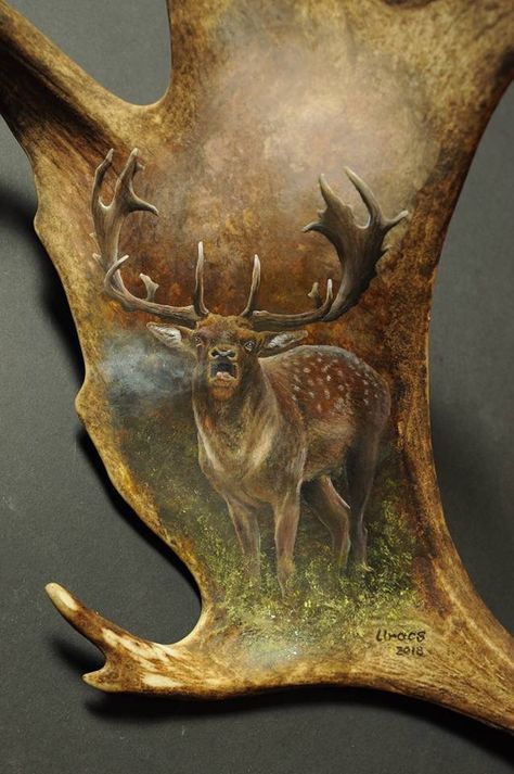 Antler Carving, Antlers, Carving