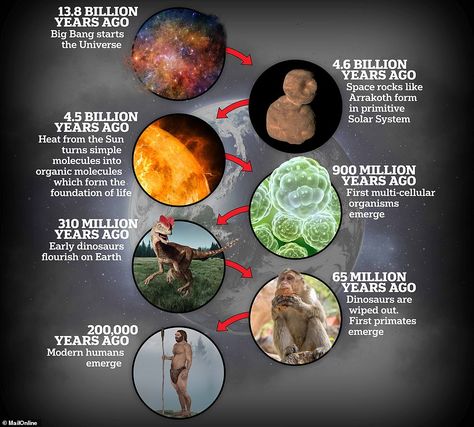 Arrokoth space rock may have brought life to Earth, scientists reveal | Daily Mail Online 2/14/20 Life on Earth has a complex history which spans back around 4.5billion years. Molecules on the asteroid Arrakoth may have played a role in the formation of life History Of Earth, Kuiper Belt, Organic Molecules, Space Probe, Earth Pictures, History Timeline, History Images, Life On Earth, Galaxy Painting