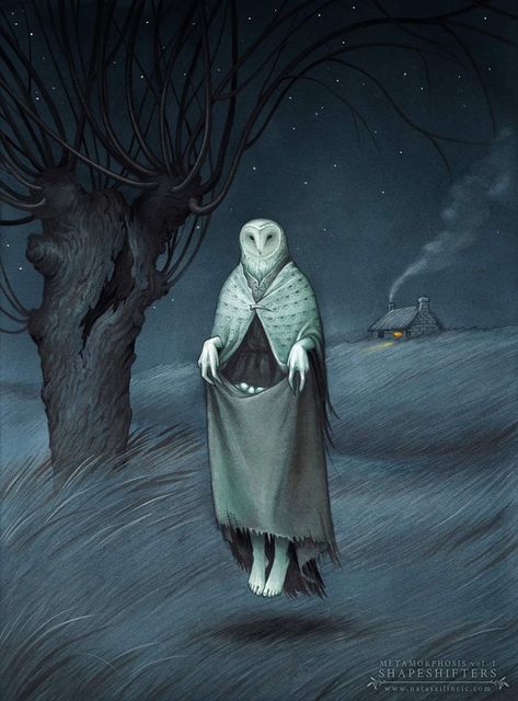 Owl Witch, Witch Art, Witch Aesthetic, Weird Creatures, Owl Art, Barn Owl, Dark Art, Character Inspiration, Art Inspo