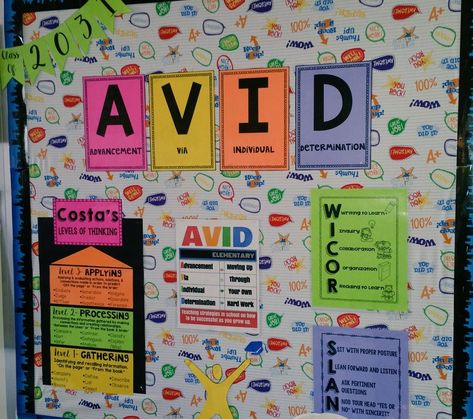 Elementary Bulletin Board Ideas, Avid Program, Avid Strategies, Teaching Middle School Science, Colorful Bulletin Boards, Elementary Bulletin Boards, Middle School Essentials, Middle School Classroom Decor, Teachers Room