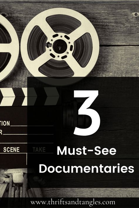 Sharing a list of 3 life-changing documentaries you need to watch. These documentaries are available on Netflix and some are available for purchase on Youtube. Diving into fast-fashion, the environment, and racial inequality. These documentaries will forever change your perspective on life. #lifechangingdocumentaries #documentaries #mustwatch #thetruecost #riverblue #13th Racial Inequality, Chemical Waste, Youtube Tv, Change Your Perspective, Inexpensive Clothes, Best Documentaries, Hope For The Future, Natural Hair Beauty, Perspective On Life