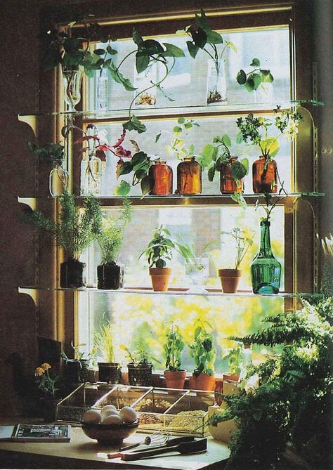 Shelves Bedroom, Kitchen Window Design, Window Shelves, Window Plants, Interior Vintage, Deco Nature, Deco Boheme, Garden Windows, Plant Shelves