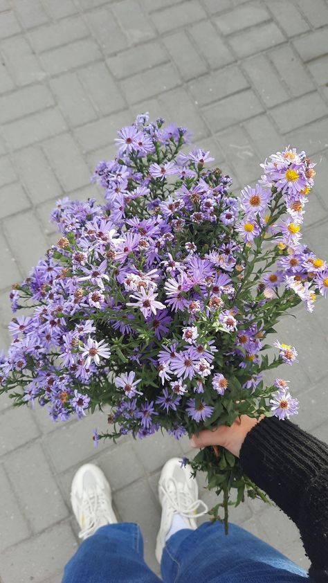 Purple Flowers Aesthetic Wallpaper, Purple Flower Bouquet Aesthetic, Flower Wallpaper Purple, Asters Flower, Purple Flowers Aesthetic, Purple Flower Bouquet, Flower Boquet, Purple And White Flowers, Aster Flower