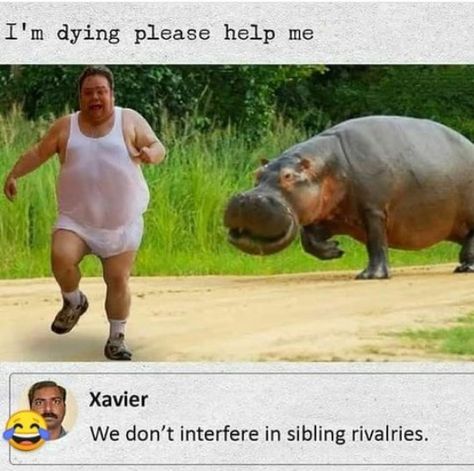 Xavier Memes, Sibling Memes, Funny Dp, Funny Memes Images, Funny Statuses, Weird Quotes Funny, Best Funny Jokes, Funny Quotes For Teens, Funny Images Laughter