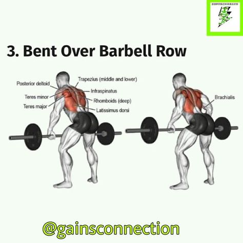 Bentover Barbell Row, Barbell Row Form, Workout Charts, Back At The Gym, Leg Weights, Workout Sheets, Barbell Deadlift, Barbell Row, Latissimus Dorsi