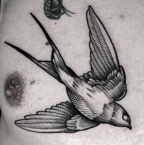 Tattoo Swallow, Sparrow Tattoo Design, Gothic Tattoos, Etching Ideas, Evil Skull Tattoo, Etching Tattoo, Vogel Tattoo, Woodcut Tattoo, Line Tattoo Ideas