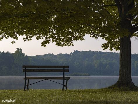 Empty bench by the lake | free image by rawpixel.com / Aaron Burden Lakeside Park, A Quiet Life, Lake Painting, Quiet Life, Sofa Bench, Film Inspiration, Beautiful Park, By The Lake, Landscape Drawings