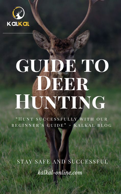 deer hunting guide Deer Hunting Season, Hunting Guide, Deer Hunting Tips, Hunting Women, Hunting Tips, Living Off The Land, Hunting Season, The Wilderness, Deer Hunting