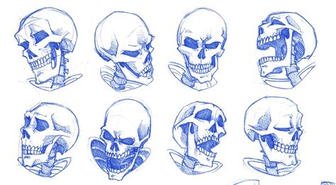 Skeleton Expressions, Skull Expressions, Skull Reference Drawing, Cartoon Skull Drawing, Skeleton Character Design, King Reference, Skeleton Character, Stylized Skull, Skeleton Drawing