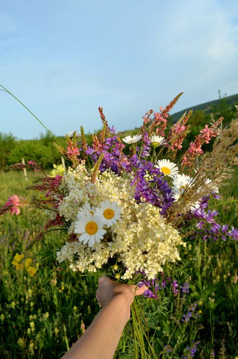 ✿campestre- Hello Spring Time Flower Picks, Wildflower Bouquet, No Rain, Summer Bucket List, Summer Bucket, Plants Flowers, Love Flowers, Flower Shop, Pretty Flowers