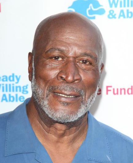 John Amos is an American actor. John Amos Actor, John Amos, Celebrity Portraits, American Actors, Famous People, Actors, Songs, Celebrities