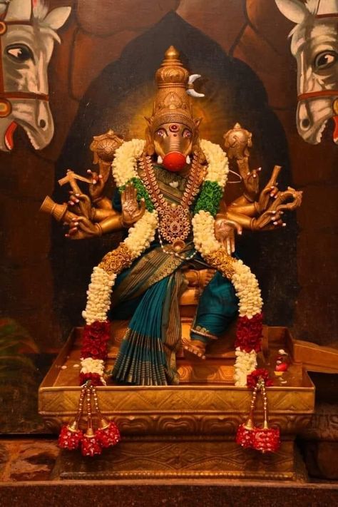 வராஹி அம்மன், Gowri Ganesha, Gods Pictures, Devi Alankaram, Traditional Pictures, Pooja Photos, Tamil God, Ganesha Festival, Hindu Statues Goddesses