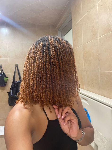 Curly Micro Locs Hairstyles, Honey Blond Micro Locs, Microlocs Curly Ends, Honey Blonde Micro Locs, Cornrows On Microlocs, Microloc Inspiration, Microlocs Inspiration, Locs Color, Mini Twists Natural Hair