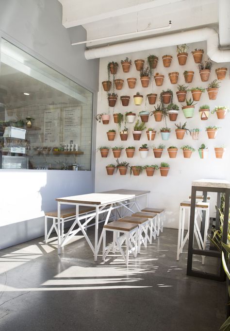 Santa Monica — 631 Wilshire Blvd | Bluestone Lane Patio Plant Wall, Bluestone Lane, Café Interior, Modern Coffee Shop, Mercury Mosaics, Terra Cotta Clay Pots, Timber Structure, Patio Plants, Home Of The Brave