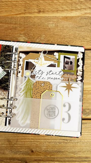 December Daily Scrapbooking, December Daily Ideas Inspiration, Christmas Journals, Love Yourself Album, Pocket Page Scrapbooking, Christmas Mini Albums, Memory Planner, Daily Ideas, Teresa Collins