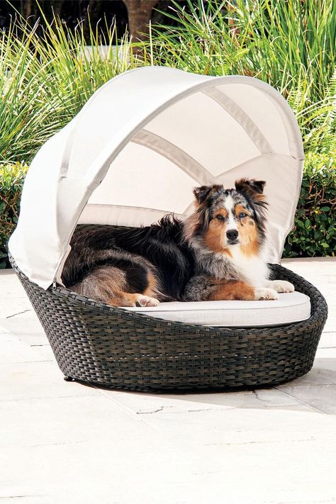 The dog is a member of the family, so there's no reason it shouldn't be treated to premium, high end outdoor furniture to enjoy the summer on just like everyone else and now you can truly pamper your pooch with this cool new Baleares Dog Bed. Outside Dog Bed, Dog Bed With Canopy, Dog Canopy Bed, Bed With Canopy, Outdoor Pet Bed, Cane Bed, Outdoor Dog Bed, Pet Couches, Diy Dog Bed