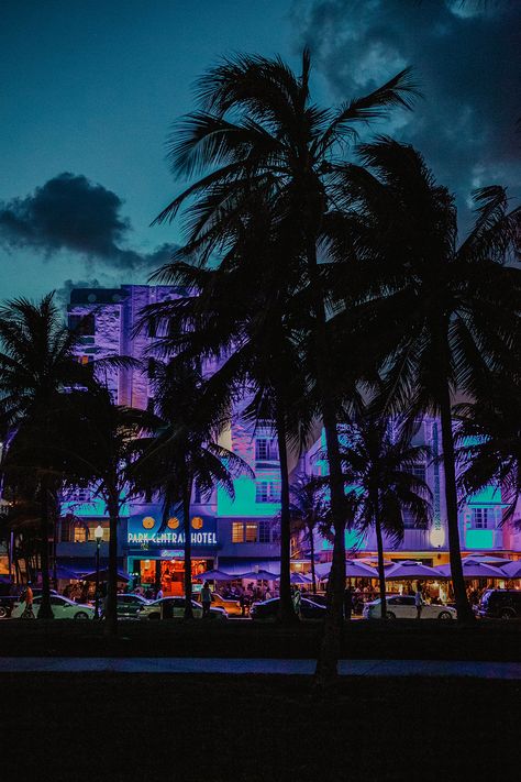 Miami At Night Aesthetic, Miami City Night, Miami Night Aesthetic, Miami Aesthetic Night, Miami Beach At Night, Night Palm Trees, Miami Beach Aesthetic, Miami At Night, Neon Cityscape