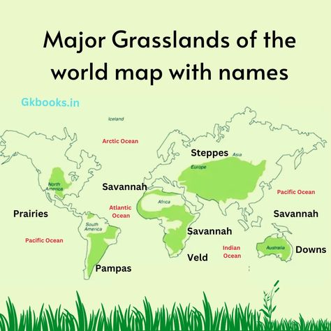 grasslands of the world Basic Geography Notes, World Geography Notes, Geography Vocabulary, World Geography Map, Geography Notes, Basic Geography, World History Facts, Upsc Notes, Earth Science Lessons