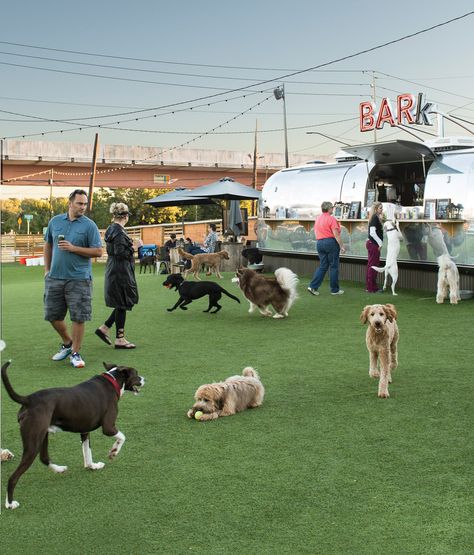 Best of Atlanta 2018: City Life - Atlanta Magazine Dog City, Pet Festival, Dog Festival, Dog Park Design Ideas, Dog Run, Dog Park Architecture, Rooftop Dog Park, Dog Parks, Dog Park Design