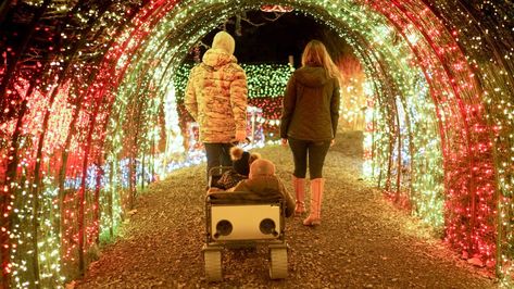 Oregon's Wonderful Winter Events - Travel Oregon Winter Light Festival, Oregon Garden, Holiday Lights Display, German Christmas Markets, Christmas Ships, Twinkly Lights, Winter Event, Mormon Temple, Winter Festival