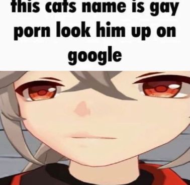 Cat Kazuha, Kazuha Funny, Kazuha Memes, Kazuha Genshin, Destroy Me, Kaedehara Kazuha, Hes Mine, Raiden Shogun, Genshin Memes