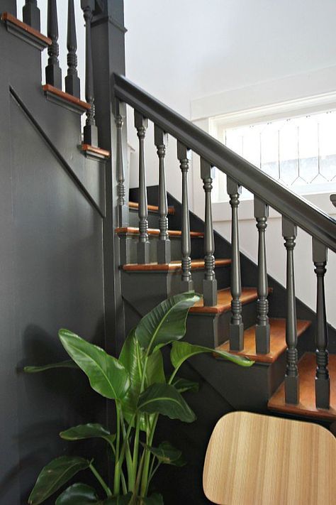 You can give your staircase a quick update with a new paint job. Stairways Ideas, Edwardian Hallway, Banister Remodel, Falling Tree, Traditional Entryway, Painted Staircases, Entryway Makeover, Handrail Design, Diy Staircase