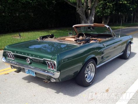 1967 Mustang Convertible, Mustang Cabriolet, Green Mustang, Mustang 65, Mustang 1967, Classic Mustangs, Ford Mustang 1967, Mustang Wheels, 1967 Ford Mustang