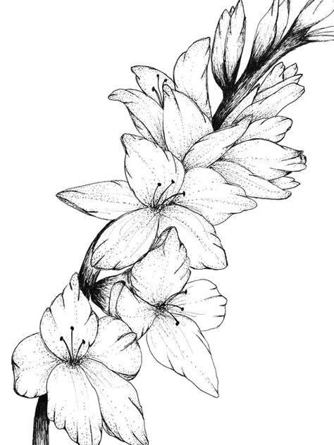 Gladiolus Flower Tattoo, Gladiolus Flower Tattoos, Flower Gladiolus, Larkspur Tattoo, Wildflowers Tattoo, Gladiolus Tattoo, Plants Drawings, Roses Plants, Super Tattoo