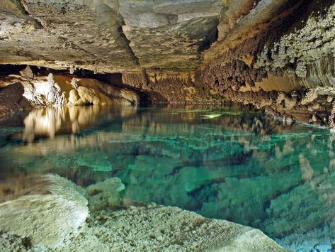 Forestville/Mystery Cave State Park | Explore Minnesota Things To Do In Minnesota, Minnesota State Parks, Park Activities, Underground Pool, Wooded Landscape, Minnesota Historical Society, Places In America, Adventure Bucket List, Forest Path