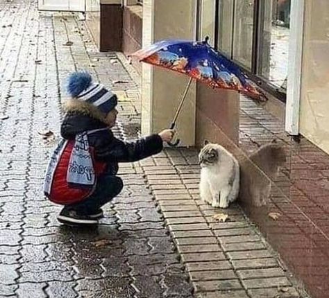 Kindness Pictures Photography, Quotes About Helping Others, Quotes About Helping, Kindness Pictures, Helping Others Quotes, Love And Kindness, Human Kindness, Happy Pictures, Pet Hair Removal