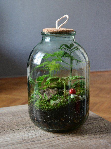 DIY: Create a kidsproof mason jar terrarium Hobbit Garden, Mason Jar Terrarium, Jar Terrarium, Bottle Terrarium, Mini Terrarium, Moss Terrarium, Bottle Garden, Bonsai Art, Clear Glass Jars