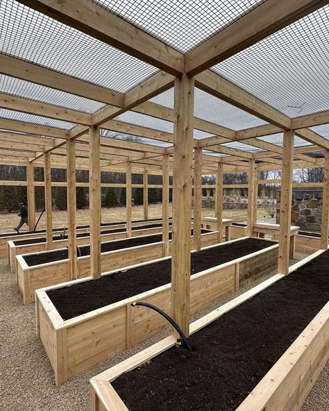 Enclosed Garden Structures, Enclosed Garden Beds, Backyard Raised Garden, Enclosed Garden, Dream Backyard Garden, Backyard Garden Diy, Diy Raised Garden, Backyard Greenhouse, Veg Garden