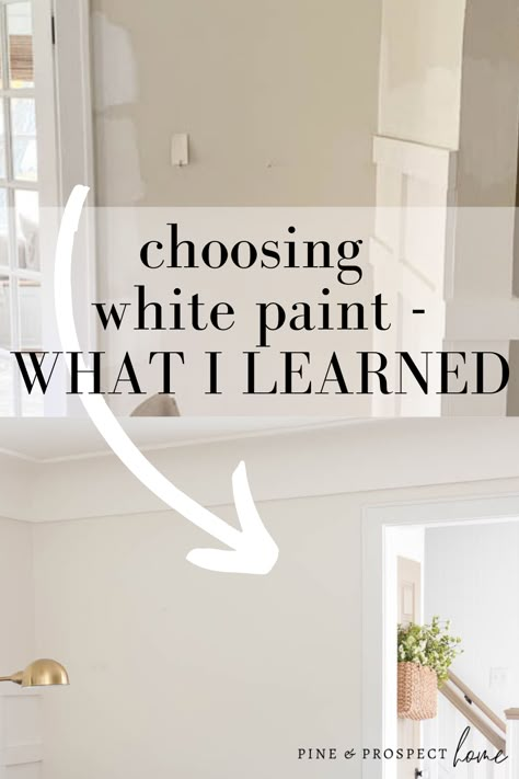 The Best White Paint For Walls, 2023 White Paint Colors, White Wall Colors Sherwin Williams, Wherein Williams White, Best White Paint For Kitchen Walls, Different White Paint Colors, Painters White Behr Paint, Tulle White Paint Color, Sherman Williams White Interior Paint